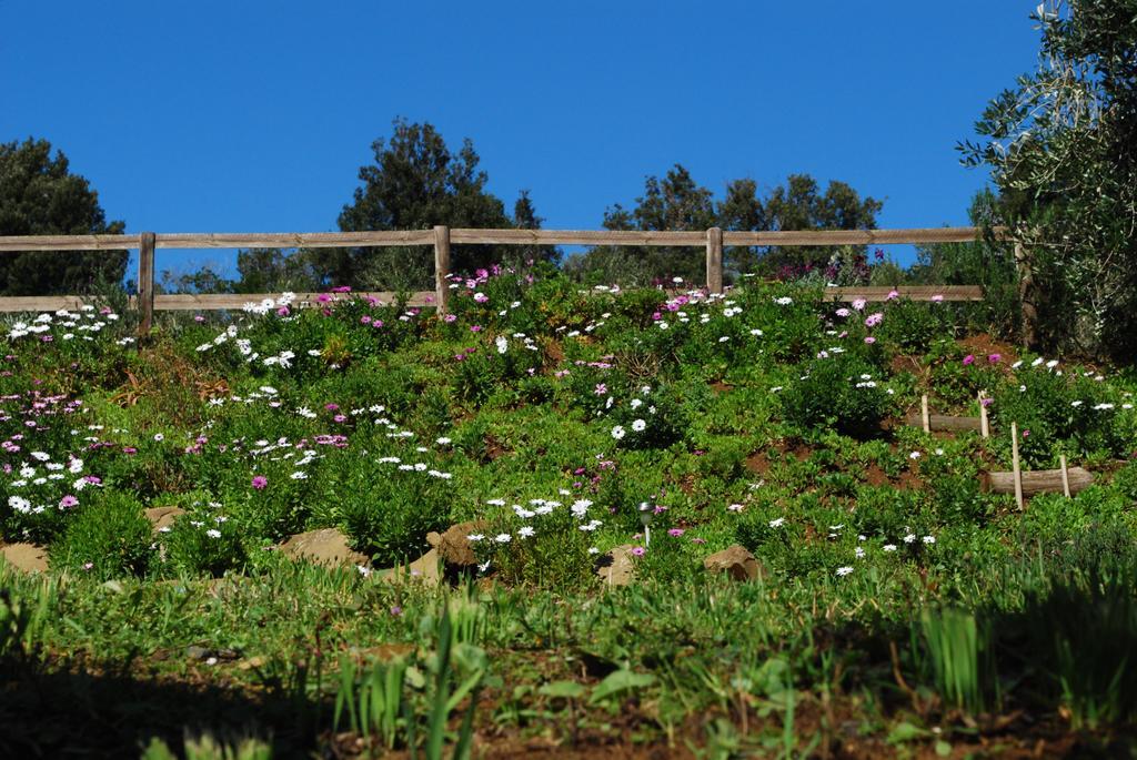 Agriturismo Val Di Nappo Castiglione della Pescaia Dış mekan fotoğraf