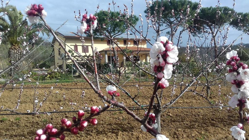 Agriturismo Val Di Nappo Castiglione della Pescaia Dış mekan fotoğraf